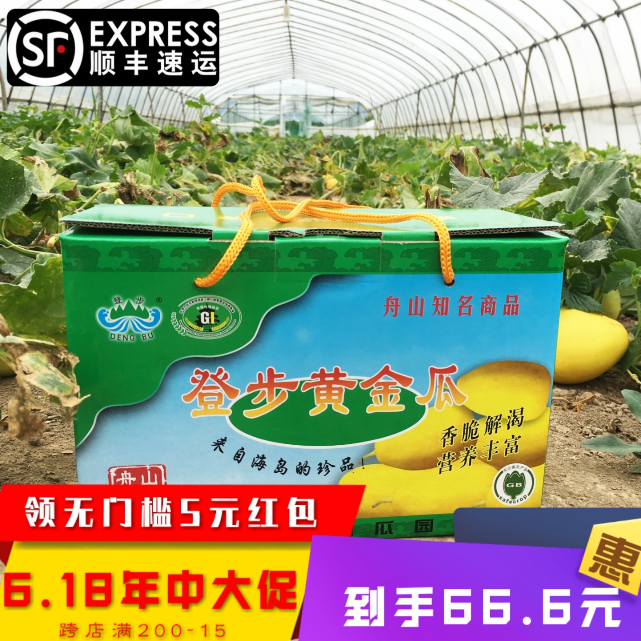 Shunfeng|Gold melon Zhoushan specialty muskmelon natural pregnant woman children No addition 4in the Aquatic meat/Fresh fruits and vegetables/Cooked , Fresh fruit , Cantaloupe category - from Buy2taobao.com to provide professional Taobao agent buy service
