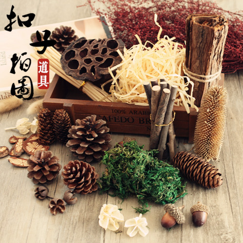 天然松果干花束森林产品淘宝静物拍摄道具复古拍照摄影背景摆件|ruв категории Домашний быт, ваза/цветок/искусственные цветы/моделирование украшения, сушеные цветы/лепесток/сушеные цветы пакет/сухие ветки - от Buy2taobao.com для оказания профессиональной услуги покупки агента Taobao