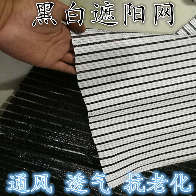 遮阳网防晒网铝箔网多肉阳台楼顶庭院阳光房遮阴网大棚汽车隔热网在类目 鲜花速递/花卉仿真/绿植园艺, 园艺用品, 其它园艺用品中 - 来自Buy2taobao.com提供专业的淘宝代购服务
