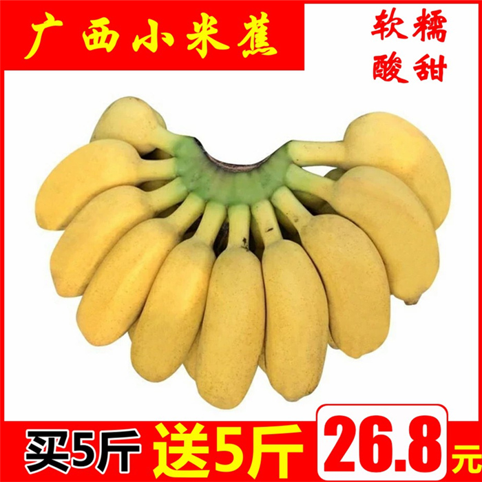 小米蕉新鲜10斤包邮banana广西小香蕉西贡蕉新鲜应季水果净重9斤在类目 水产肉类/新鲜蔬果/熟食, 新鲜水果, 香蕉中 - 来自Buy2taobao.com提供专业的淘宝代购服务