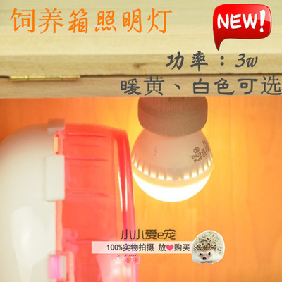 【小小愛e寵】非洲迷妳刺猬飼養箱白熾燈 照明燈 爬蟲爬箱燈具在類目 寵物/寵物食品及用品, 爬蟲/鳴蟲及其用品, 爬蟲/鳴蟲用具中 - 來自Buy2taobao.com提供專業的淘寶代購服務