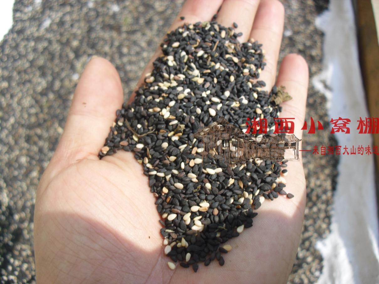 Xuefeng Mountain in Western Hunan 1500 Migao Mountain New Black sesame seeds sesame Local Black sesame seedsin the Agri rice/Dried foods/Condiment , Meter/Flour/Grains , Other food category - from Buy2taobao.com to provide professional Taobao agent buy service