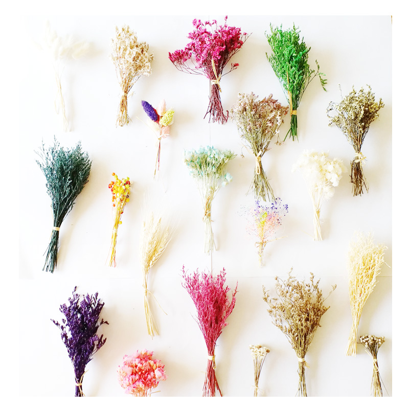 Dry bouquet Mini Bouquet of flowers flOw card Aromatherapy Wax manual diy Material Science Little Star Flower Rabbit tail grassin the Festive supplies/Gift , Greeting Cards/Card category - from Buy2taobao.com to provide professional Taobao agent buy service
