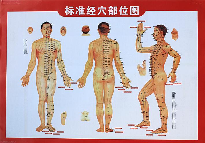穴位图在类目 个人护理/保健/按摩器材, 经络保健器材, 刮痧片/板中 - 来自Buy2taobao.com提供专业的淘宝代购服务