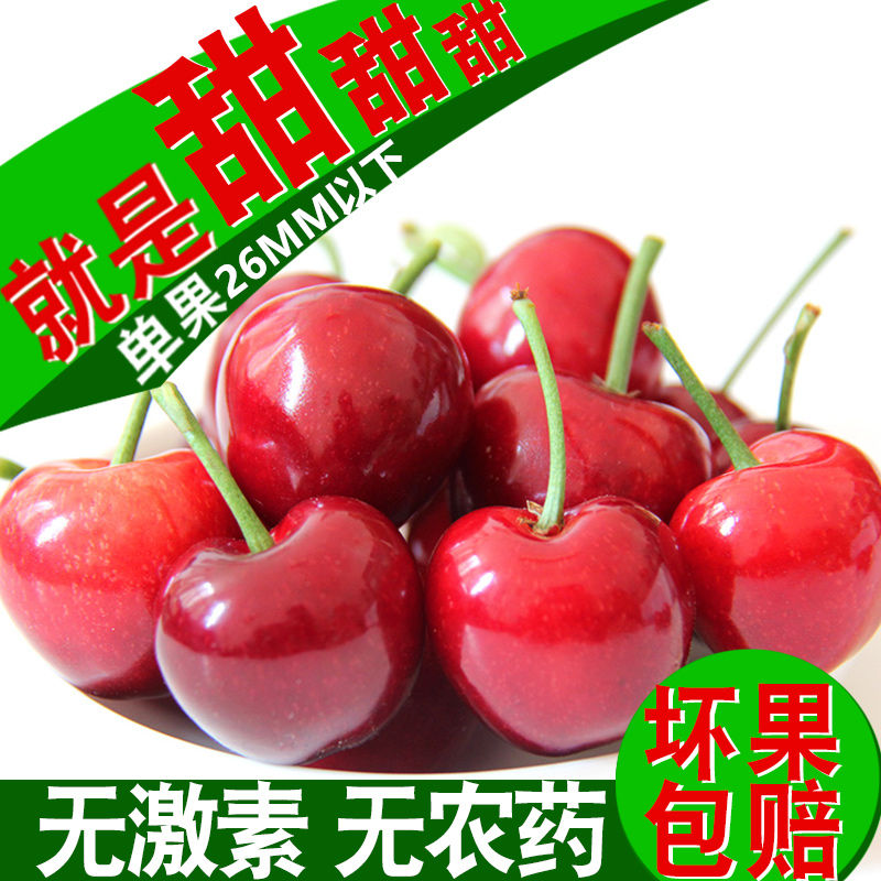 现摘现发大连大樱桃 新鲜水果5 国产车厘子孕妇水果果园直发3斤装在类目 水产肉类/新鲜蔬果/熟食, 新鲜水果, 车厘子/樱桃中 - 来自Buy2taobao.com提供专业的淘宝代购服务