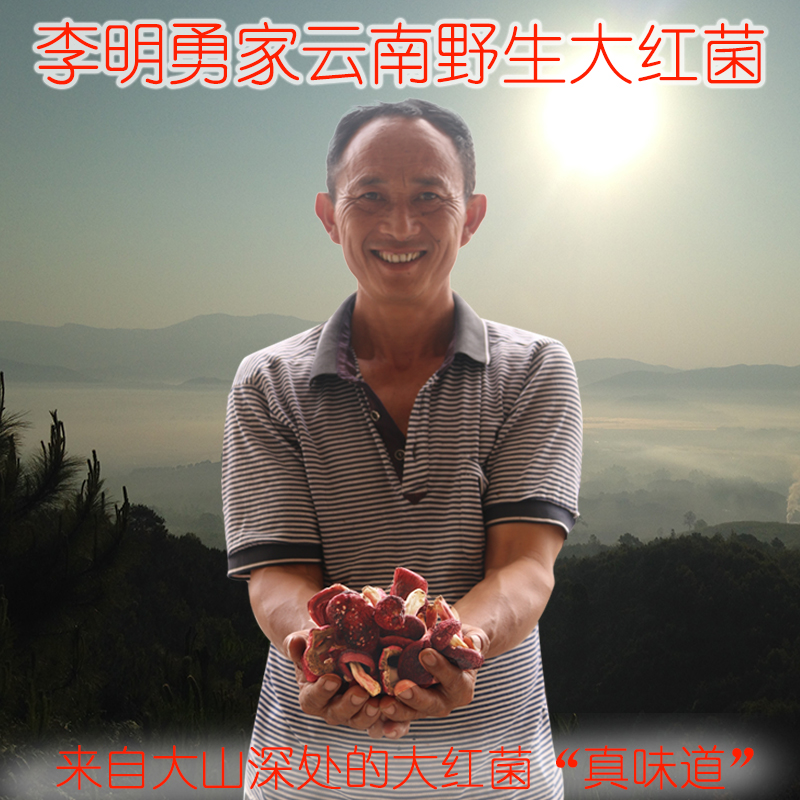 Ming Yong Yunnan wild Macro bacteria Russula dried food Mountains Farm Native 100gin the Agri rice/Dried foods/Condiment , Dried foods/Meat Dry , Dry/Native , Other category - from Buy2taobao.com to provide professional Taobao agent buy service
