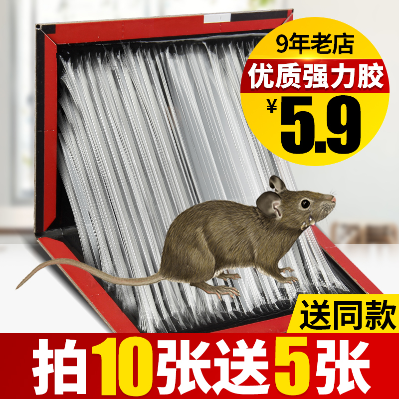 【10送5】10年老店日本版老鼠贴超强力粘鼠板灭捕鼠神器胶夹药包在类目 洗护清洁剂/卫生巾/纸/香薰, 驱虫用品, 灭鼠/杀虫剂中 - 来自Buy2taobao.com提供专业的淘宝代购服务