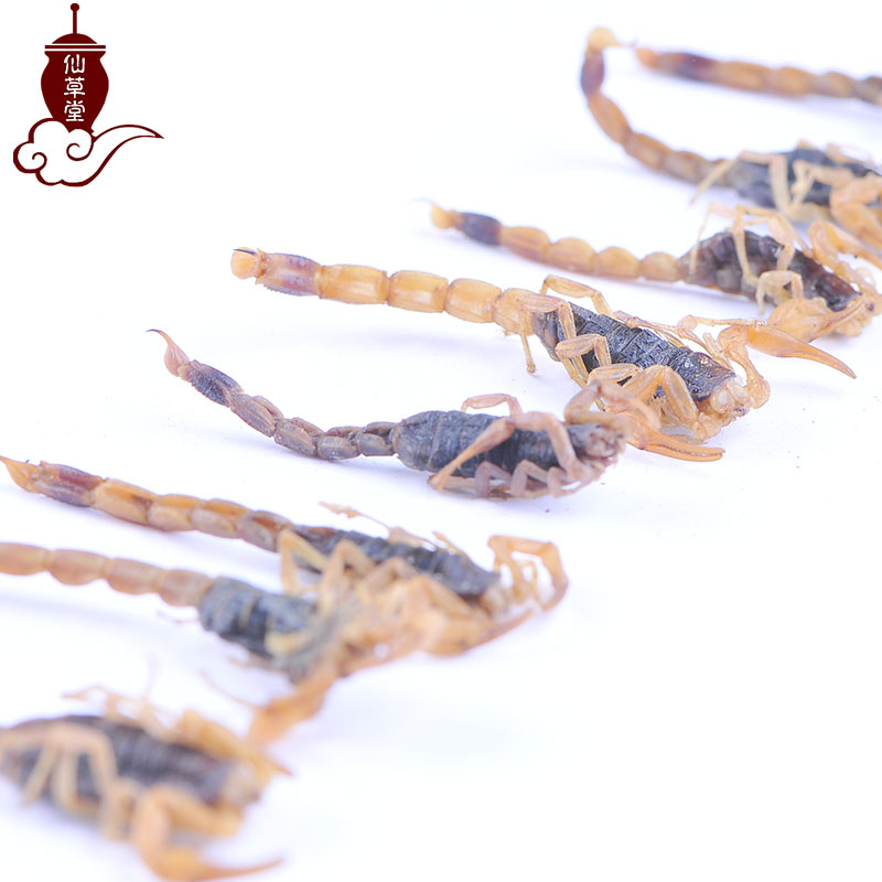 Xiancao Church Scorpion All insects Scorpion brine 100Gin the Traditional nourishing food , Medicinal and Edible Food , Other Medicinal and Edible Food category - from Buy2taobao.com to provide professional Taobao agent buy service