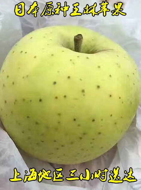 日本原種 新疆醜果 王林水蜜桃 斑點 蘋果(壹箱10斤)在類目 水產肉類/新鮮蔬果/熟食, 新鮮水果, 蘋果中 - 來自Buy2taobao.com提供專業的淘寶代購服務
