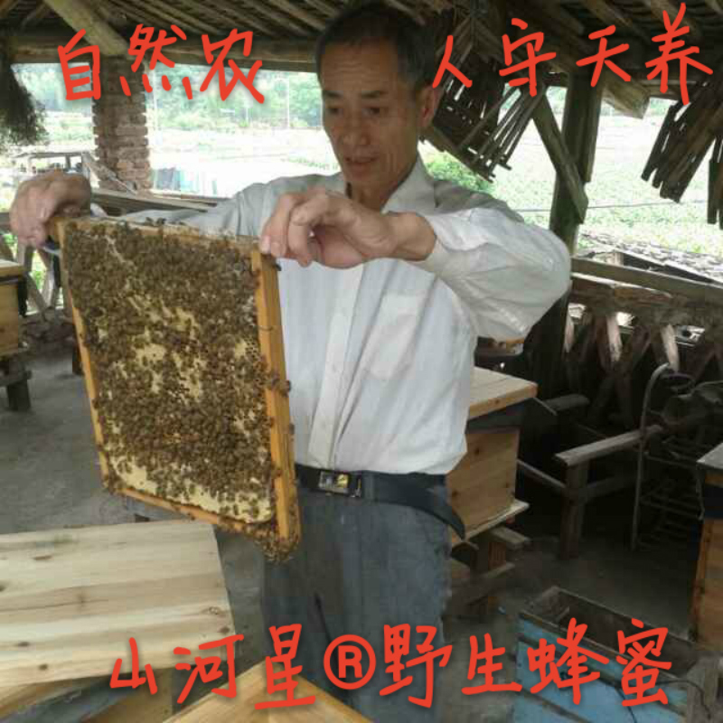 wild Soil honey Honey comb New honey pure natural natural Farm Production Mature Flowers honey Raw honey Sangein the Traditional nourishing food , Honey category - from Buy2taobao.com to provide professional Taobao agent buy service