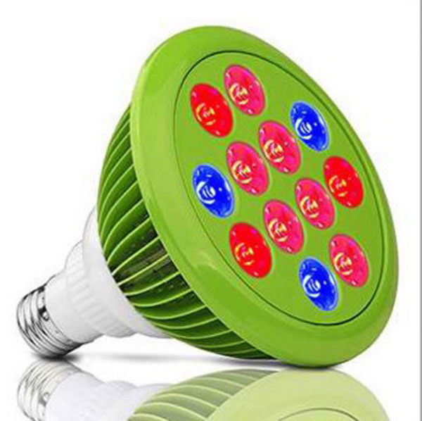 New products Export new pattern LED PAR38 Botany Lighting UV 36W Grow fill-in light finished productin the Decoration main material , Lamps , Functional lamps and lanterns, Grow Light category - from Buy2taobao.com to provide professional Taobao agent buy service