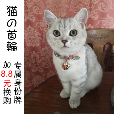 猫项圈猫铃铛项圈狗狗刻字颈圈带铃铛猫咪项圈包邮宠物招财猫项链