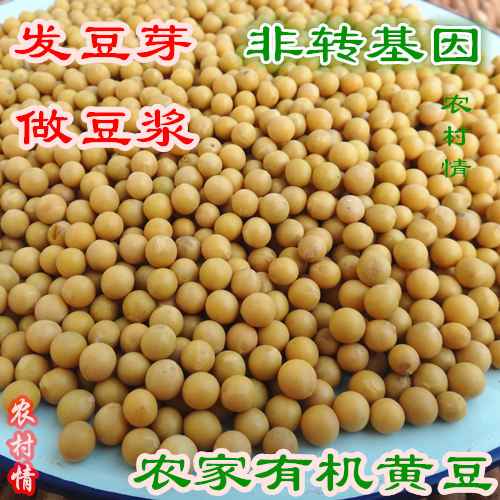 农村情 2018年农家自种黄豆 发豆芽 磨豆浆 500克在类目 粮油米面/南北干货/调味品, 米/面粉/杂粮, 豆类, 黄豆中 - 来自Buy2taobao.com提供专业的淘宝代购服务