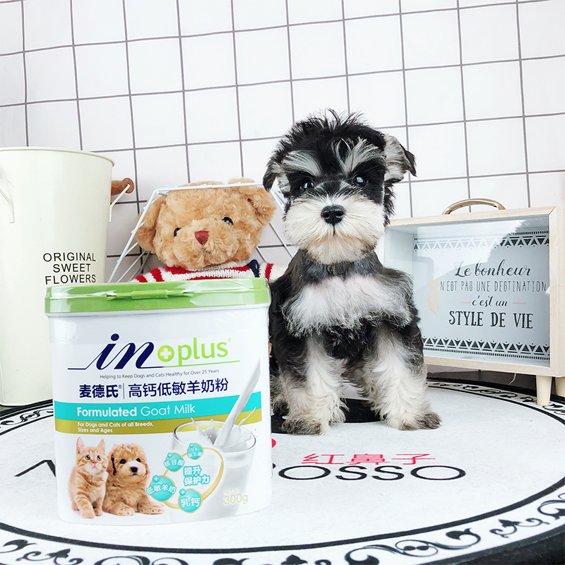 狗狗幼犬羊奶粉 麦德氏猫狗泰迪金毛宠物羊奶粉幼猫猫咪专用|msdalam kategori haiwan peliharaan/makanan haiwan dan bekalan, Cat/produk penjagaan kesihatan anjing - dari Buy2taobao.com untuk memberikan perkhidmatan ejen Taobao profesional membeli