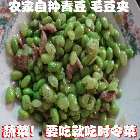農家自種新鮮毛豆帶殼毛豆莢青毛豆黃豆生毛豆現摘現發可水煮毛豆在類目 水產肉類/新鮮蔬果/熟食, 新鮮蔬菜/蔬菜製品, 新鮮蔬菜, 其它中 - 來自Buy2taobao.com提供專業的淘寶代購服務