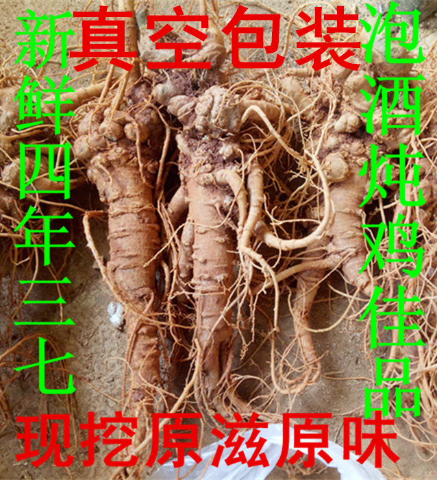 云南文山新鲜三七包邮四年潮湿活鲜三七根须生田七粉泡酒煲汤野生在类目 传统滋补营养品, 三七中 - 来自Buy2taobao.com提供专业的淘宝代购服务