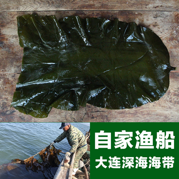 扇贝婆婆 海带片 盐渍海带大头 昆布 昆布片 厚海带新鲜嫩海带 包在类目 水产肉类/新鲜蔬果/熟食, 海鲜/水产品/制品, 藻类, 海带中 - 来自Buy2taobao.com提供专业的淘宝代购服务