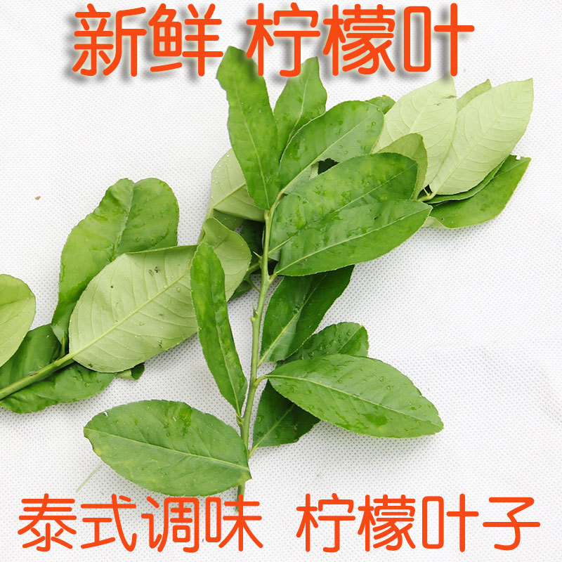 新鲜柠檬叶500g柠檬树叶子 卤煮火锅泰国冬阴功汤 江浙沪满69包邮在类目 水产肉类/新鲜蔬果/熟食, 新鲜蔬菜/蔬菜制品, 新鲜蔬菜, 其它中 - 来自Buy2taobao.com提供专业的淘宝代购服务