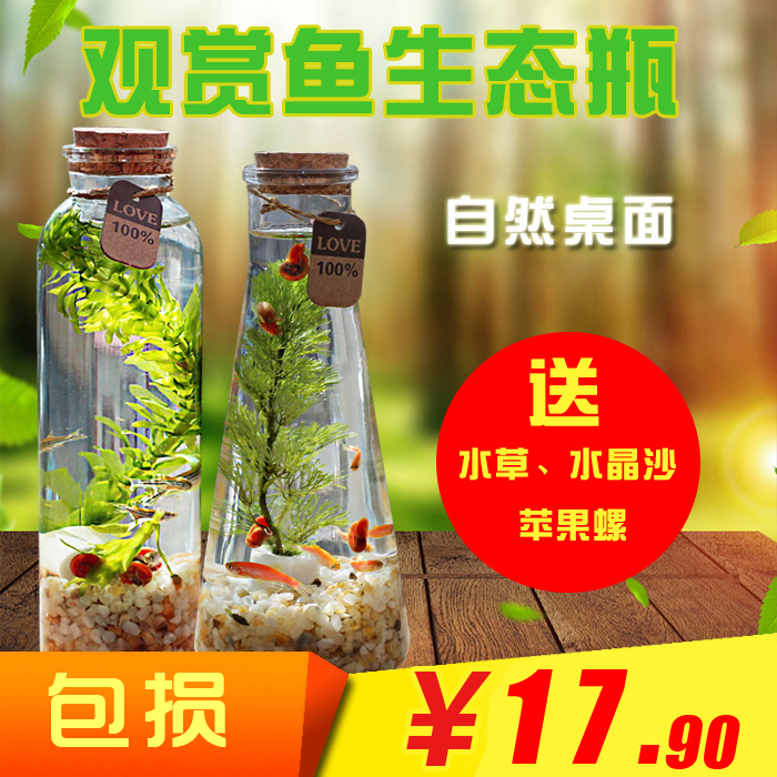 水族觀賞魚微景觀辦公室桌面生態瓶創意魚缸斑馬魚缸鬥魚缸觀賞蝦在類目 寵物/寵物食品及用品, 水族世界, 魚缸等水族設備, 生態瓶/創意缸/桌面微景缸中 - 來自Buy2taobao.com提供專業的淘寶代購服務