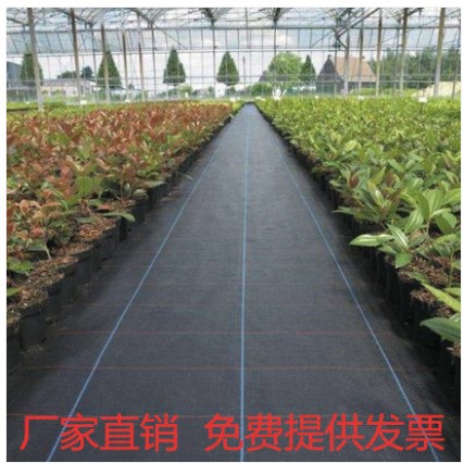 园艺布防草布地布草地型耐用地布抑草布除草防果园布膜黑色园艺垫|msdalam kategori penghantaran bunga/bunga simulasi/tumbuhan berkebun, Gardening Supplies, Peralatan Perkebunan lain - dari Buy2taobao.com untuk memberikan perkhidmatan ejen Taobao profesional membeli