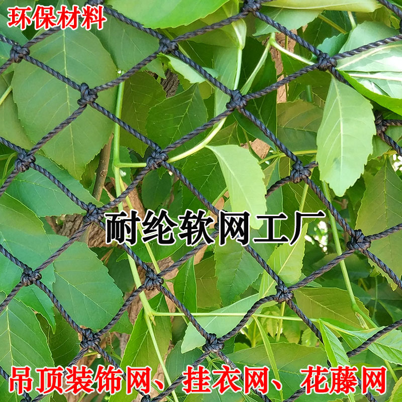 吊顶网 装饰网 阳台挂衣网 葡萄网花藤网 环保材料异形网在类目 五金/工具, 施工保护, 坠落防护, 安全网中 - 来自Buy2taobao.com提供专业的淘宝代购服务