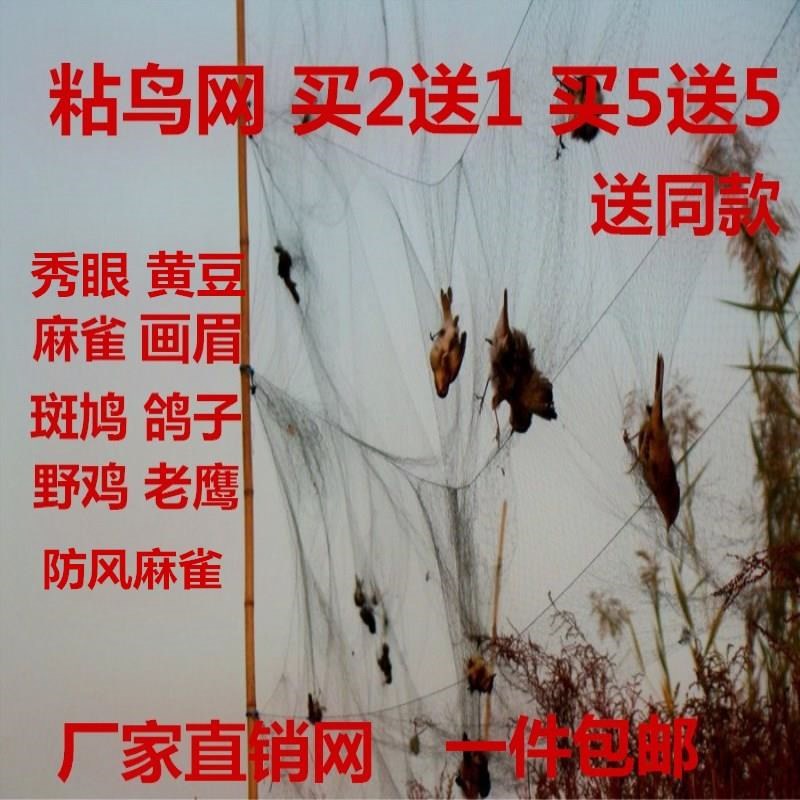 鱼塘园艺挡鸟抓鸟工具3m泥鳅尼龙线防虫农田神器自动枸杞多肉逮鸟在类目 鲜花速递/花卉仿真/绿植园艺, 园艺用品, 其它园艺用品中 - 来自Buy2taobao.com提供专业的淘宝代购服务