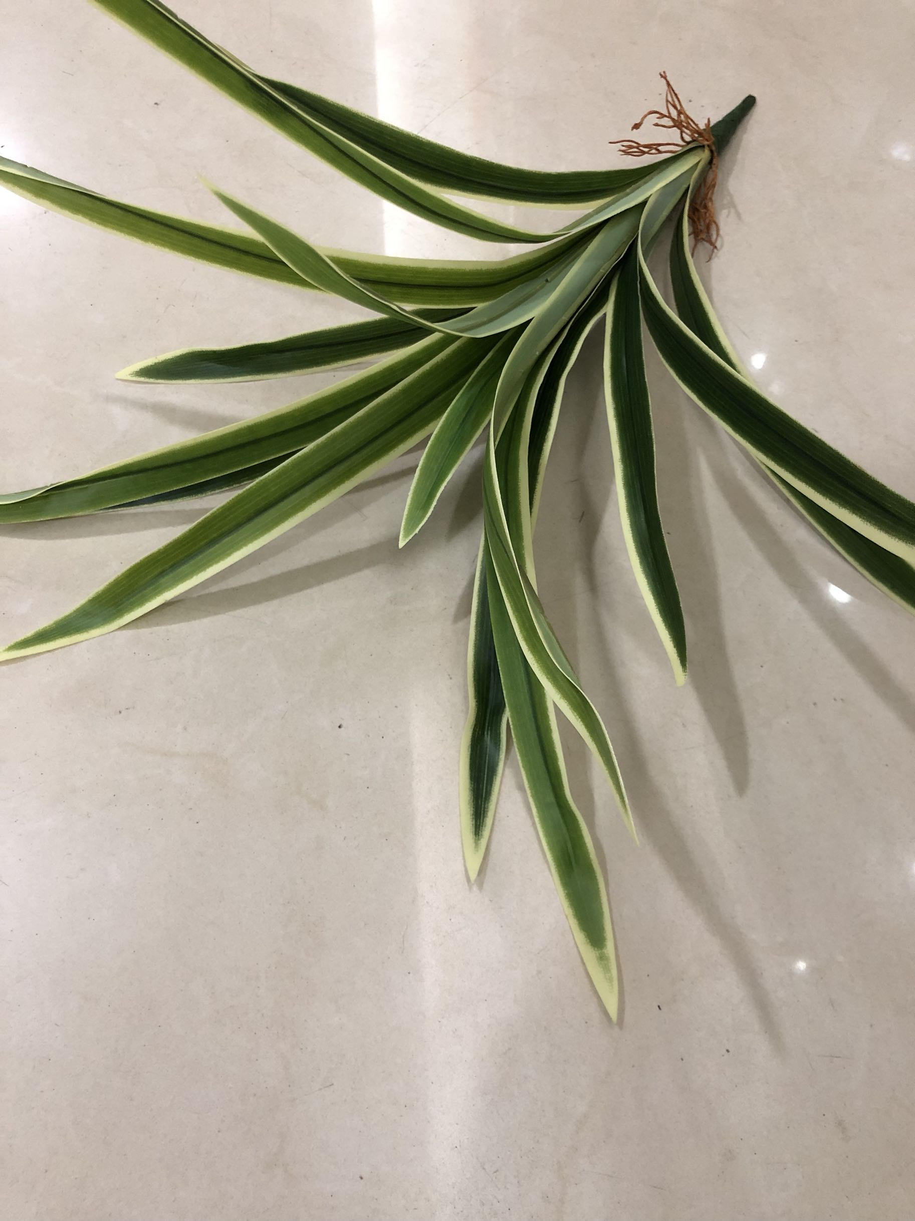 仿真單枝白邊葉插花裝飾綠植在類目 節慶用品/禮品, 婚慶佈景/道具, 花瓣/仿真花瓣中 - 來自Buy2taobao.com提供專業的淘寶代購服務