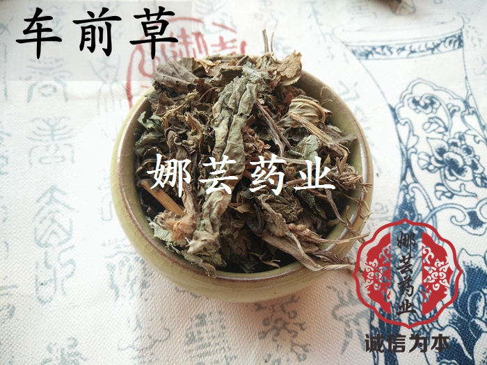 Plantain 500 wild quality goods Plantain tea new goods Season manual Select cleanin the Traditional nourishing food , Medicinal and Edible Food , Other Medicinal and Edible Food category - from Buy2taobao.com to provide professional Taobao agent buy service