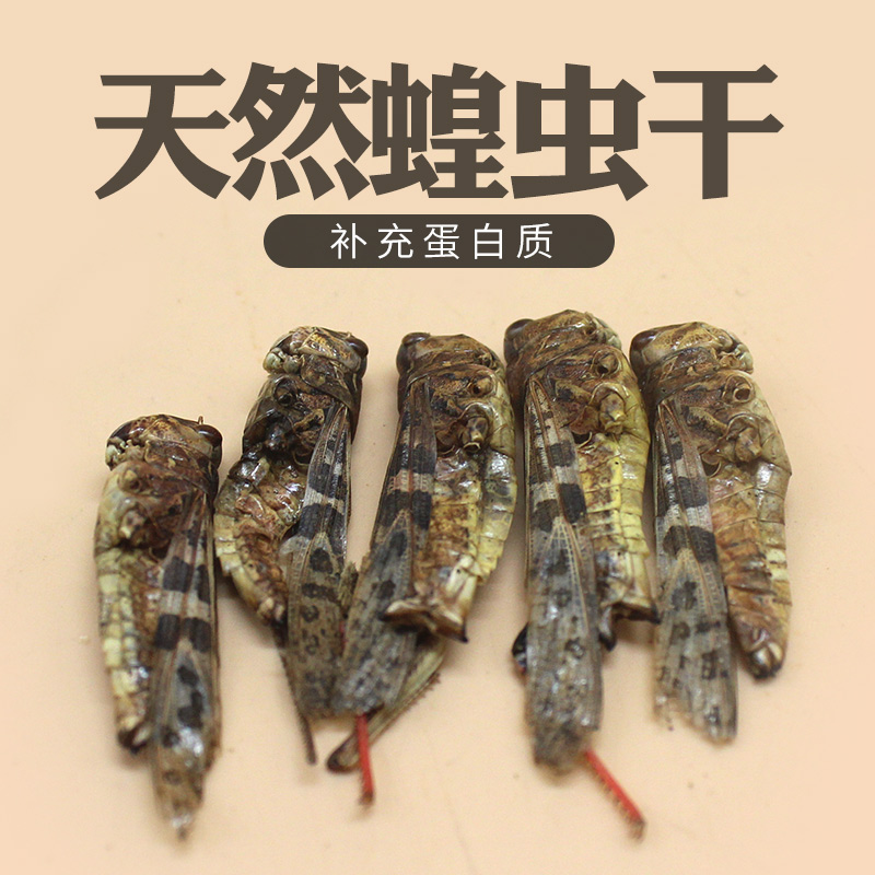 威毕八哥鹩哥画眉鹦鹉鸟食饲料鸟粮蚂蚱干蝗虫干零食补充粮100g在类目 宠物/宠物食品及用品, 鸟类及用品, 鸟中 - 来自Buy2taobao.com提供专业的淘宝代购服务