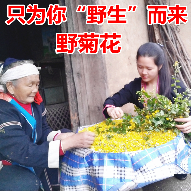 野菊花无硫 野菊花茶 野菊米山菊花草茶野外采晒无添加去火茶包邮|ruв категории традиционные питательный пища, чай - от Buy2taobao.com для оказания профессиональной услуги покупки агента Taobao