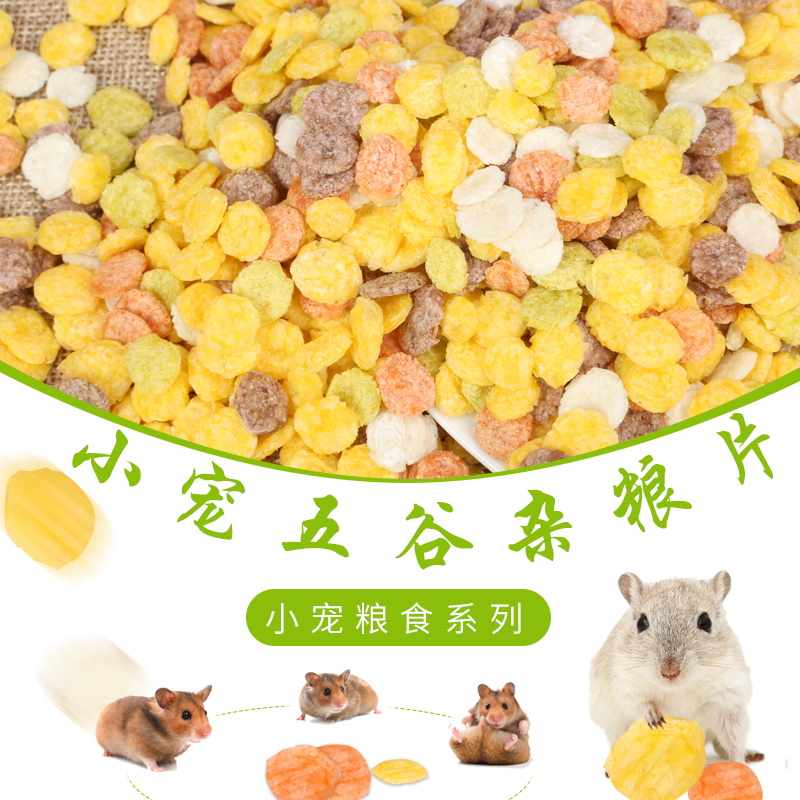 新上市 雜糧片 兔兔 倉鼠 荷蘭豬 龍貓 天竺鼠 零食 200克在類目 寵物/寵物食品及用品, 倉鼠類及其它小寵, 飼料/零食中 - 來自Buy2taobao.com提供專業的淘寶代購服務