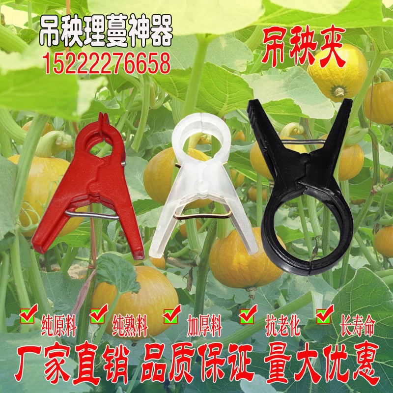 吊秧夾大棚黃瓜番茄西紅柿西葫蘆夾子農用塑料蔬菜綁蔓夾子吊蔓夾在類目 鮮花速遞/花卉仿真/綠植園藝, 園藝用品, 其它園藝用品中 - 來自Buy2taobao.com提供專業的淘寶代購服務