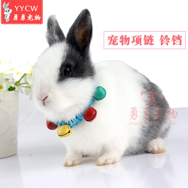 纯手工编制七彩铃铛 宠物挂饰项圈适合猫狗兔小型宠物用品在类目 宠物/宠物食品及用品, 宠物服饰及配件, 挂饰/挂牌中 - 来自Buy2taobao.com提供专业的淘宝代购服务