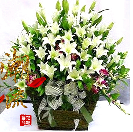 银川鲜花店速递开业乔迁画展演唱会花篮祝福百合金凤同城送花|ruв категории доставка цветов/цветок моделирования/растения садоводства, торговля с цветами - от Buy2taobao.com для оказания профессиональной услуги покупки агента Taobao