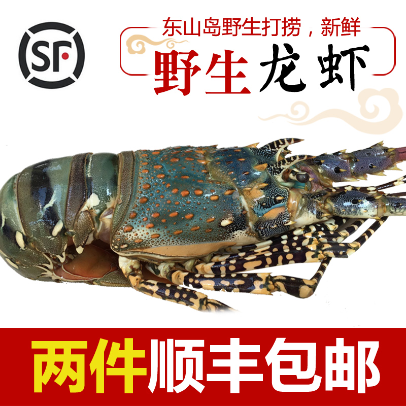 大龙虾鲜活 龙虾鲜活大龙虾 澳洲龙虾鲜活 野生海鲜龙虾鲜活速冻|ruв категории водной мясо/свежие фрукты и овощи/еда, морепродукты/водные продукты/изделия, креветки, жить креветки - от Buy2taobao.com для оказания профессиональной услуги покупки агента Taobao