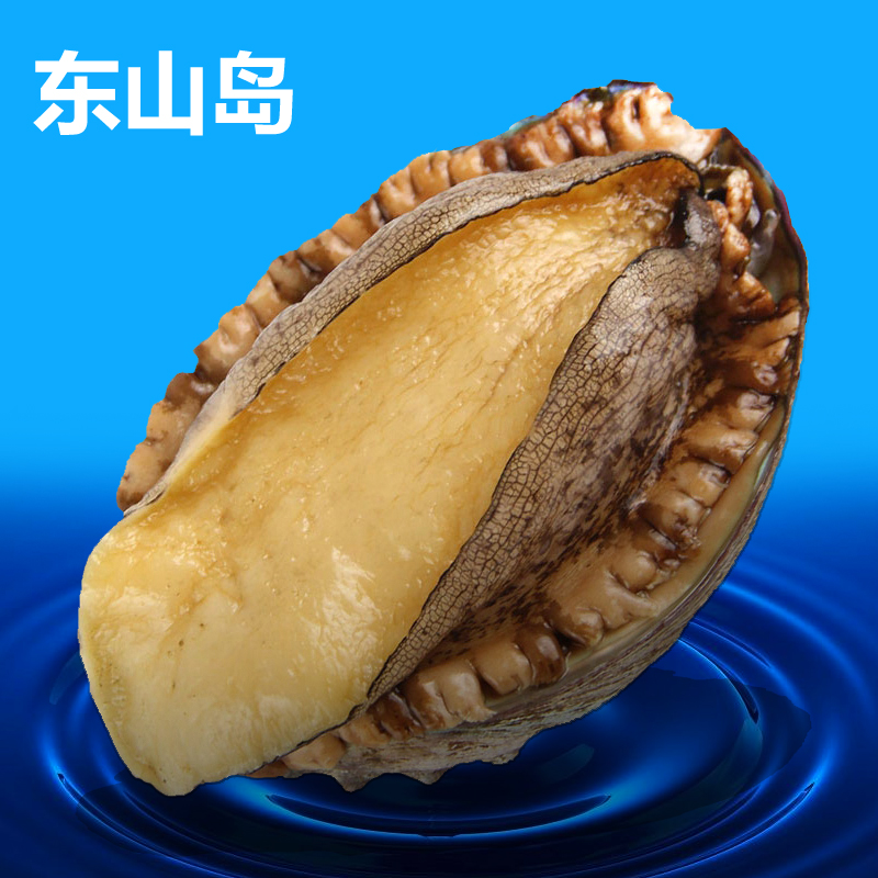 Fresh sea Seafood and Fisheries Live abalone Fresh fresh Large abalone 8-9 head/Jin 500gin the Aquatic meat/Fresh fruits and vegetables/Cooked , Seafood/Aquatic/Product , Shellfish , Abalone category - from Buy2taobao.com to provide professional Taobao agent buy service