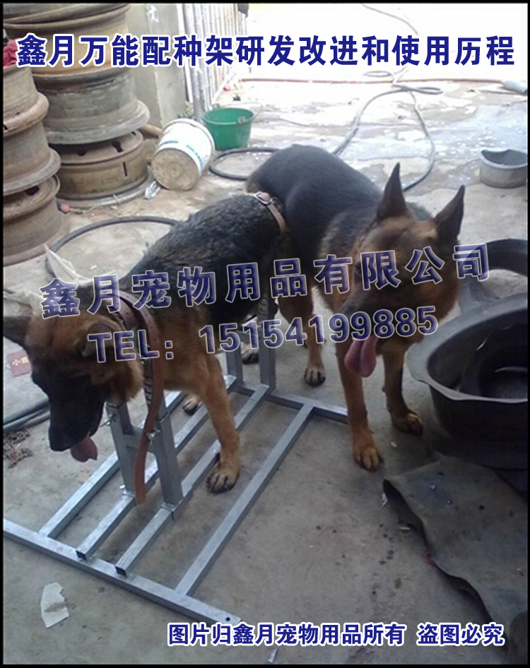 重型配狗架配种架配狗器肩高40-90厘米通用40-200斤适合大中型犬在类目 宠物/宠物食品及用品, 猫/狗日用品, 笼子中 - 来自Buy2taobao.com提供专业的淘宝代购服务