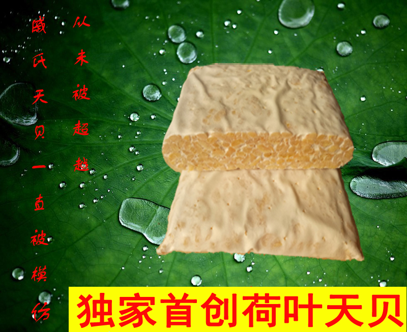 印尼天贝丹贝tempe素食荷叶发酵豆制品个维生素B12优质蛋白质素肉|ruв категории зерно риса/север и Юг сухих грузов/приправы, другие продукты - от Buy2taobao.com для оказания профессиональной услуги покупки агента Taobao