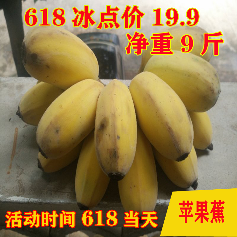 广西香蕉10斤小米焦香蕉帝王蕉芭蕉新鲜应季水果海南香蕉整箱包邮在类目 水产肉类/新鲜蔬果/熟食, 新鲜水果, 香蕉中 - 来自Buy2taobao.com提供专业的淘宝代购服务