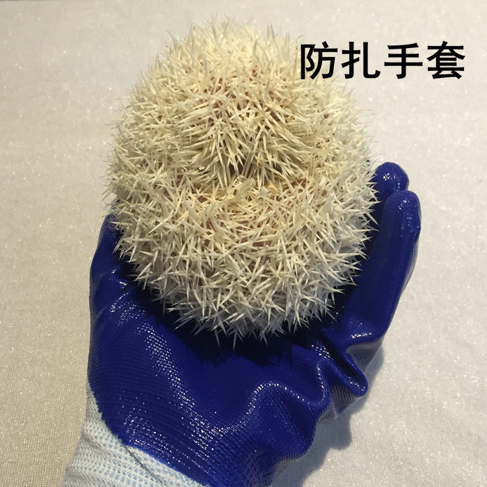 刺猬仓鼠兔兔活体防扎防咬防抓手套新人上手刚需宠物用具|ruв категории животное/Животное питание и принадлежностей, других домашних животных, других домашних приборов - от Buy2taobao.com для оказания профессиональной услуги покупки агента Taobao