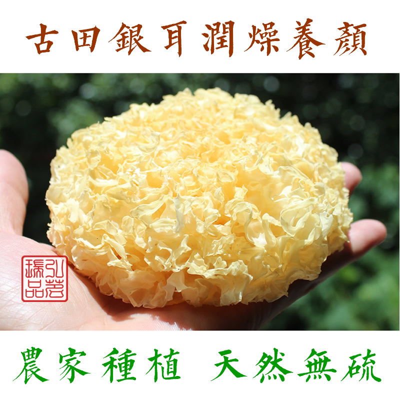 农家特产古田优质银耳白木耳雪耳糯耳丑耳无硫干货 新鲜银耳 200g在类目 粮油米面/南北干货/调味品, 南北干货/肉类干货, 干货/土特产, 银耳/白木耳中 - 来自Buy2taobao.com提供专业的淘宝代购服务