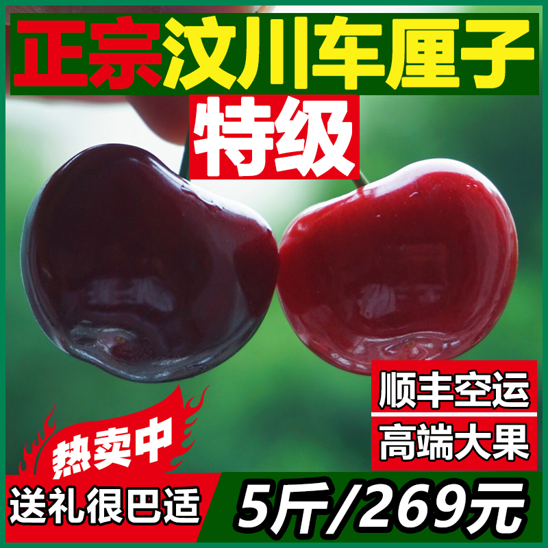 特級四川大櫻桃汶川車厘子美早新鮮國産水果包郵現摘現發孕婦5斤在類目 水產肉類/新鮮蔬果/熟食, 新鮮水果, 車釐子/櫻桃中 - 來自Buy2taobao.com提供專業的淘寶代購服務