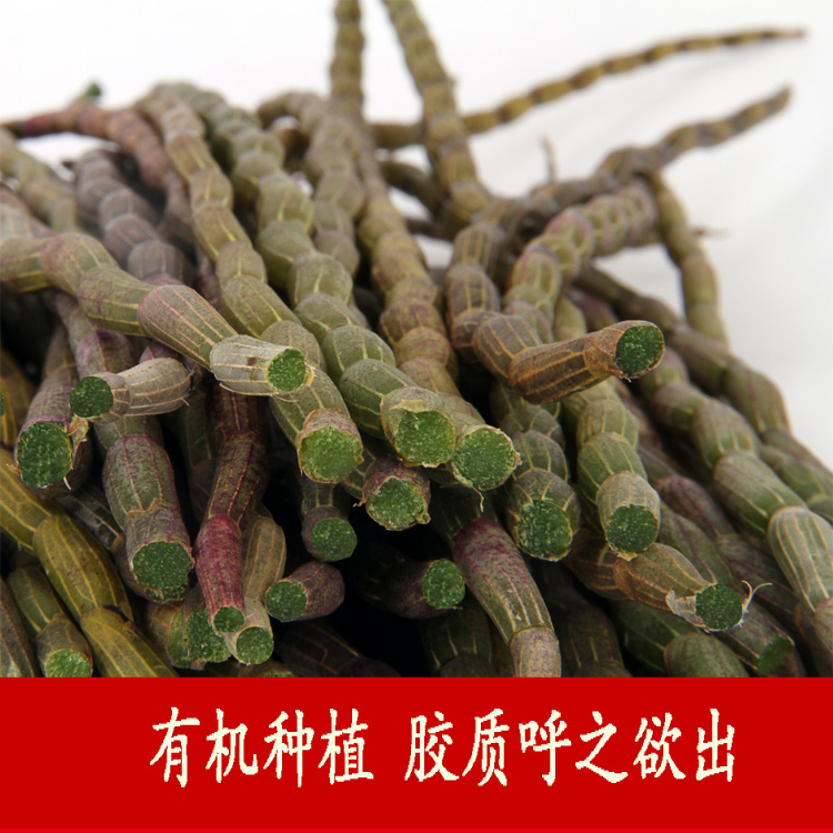 乐清雁荡山铁皮石斛鲜条三年石斛500g新鲜仿野生铁皮滋补枫斗正宗在类目 传统滋补营养品, 石斛/枫斗中 - 来自Buy2taobao.com提供专业的淘宝代购服务