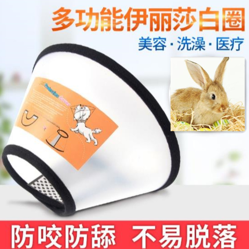兔兔用品 伊丽莎白圈兔子豚鼠龙猫保护头套防舔抓伤口皮肤病治疗在类目 宠物/宠物食品及用品, 兔类及其用品, 其他中 - 来自Buy2taobao.com提供专业的淘宝代购服务