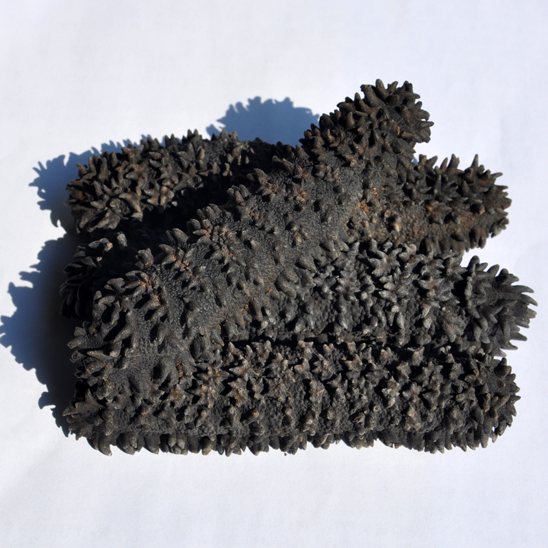 Thelenota ananas Australia sea cucumber Imported Dried sea cucumber Deep sea wild Japonicus dried food Dalian sea cucumber 250 gramin the Aquatic meat/Fresh fruits and vegetables/Cooked , Seafood/Aquatic/Product , Sea cucumber category - from Buy2taobao.com to provide professional Taobao agent buy service