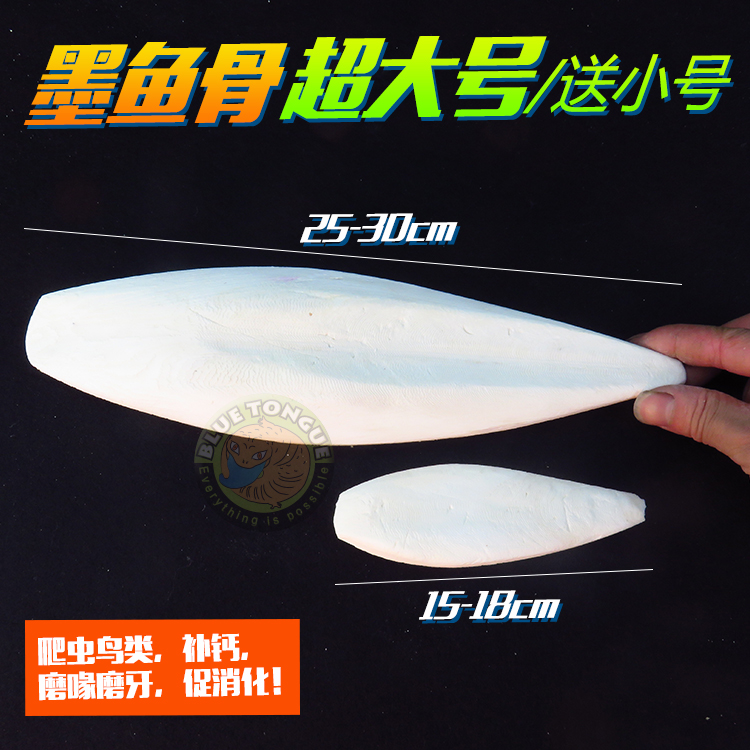 Reptile Tortoises Tortoise parrot Hamsters Hedgehog Calcium supplement Pets Nutrition Calcium Cuttlefish bone Squidin the Pet/Pet food and supplies , Aqua World , Turtle Watch/Turtle feed category - from Buy2taobao.com to provide professional Taobao agent buy service