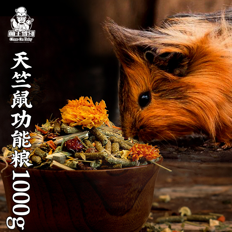 纯天然自制粮功能天竺鼠豚鼠粮食 荷兰猪主粮营养饲料全阶段除臭在类目 宠物/宠物食品及用品, 仓鼠类及其它小宠, 饲料/零食中 - 来自Buy2taobao.com提供专业的淘宝代购服务