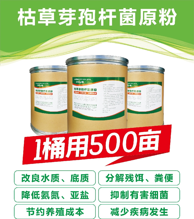 高含量枯草芽孢杆菌原粉1桶用500亩大水面水质改良调水剂鱼药包邮在类目 宠物/宠物食品及用品, 水族世界, 其他益生菌中 - 来自Buy2taobao.com提供专业的淘宝代购服务