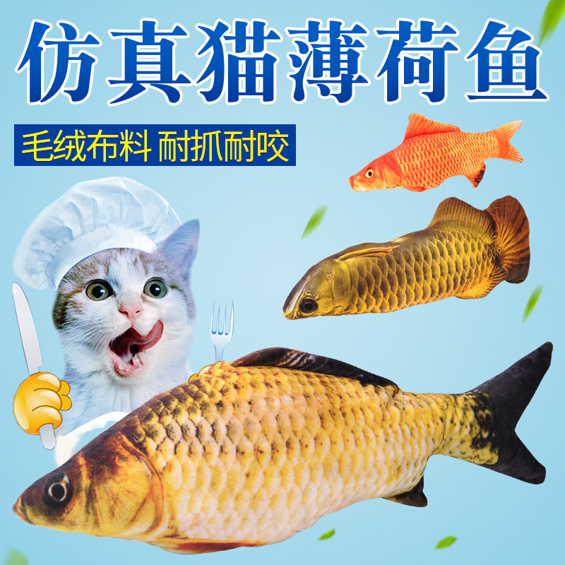 猫玩具猫薄荷鱼猫咪玩具鱼逗猫棒仿真鱼抱枕小猫用鱼玩具猫咪用品在类目 宠物/宠物食品及用品, 猫/狗玩具, 猫抓板中 - 来自Buy2taobao.com提供专业的淘宝代购服务