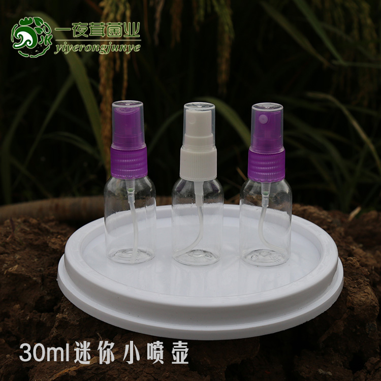 喷蘑菇小喷瓶 可爱补水分装瓶 迷你喷雾器 香水小喷壶 喷水瓶30ml在类目 鲜花速递/花卉仿真/绿植园艺, 园艺用品, 小型喷雾壶中 - 来自Buy2taobao.com提供专业的淘宝代购服务